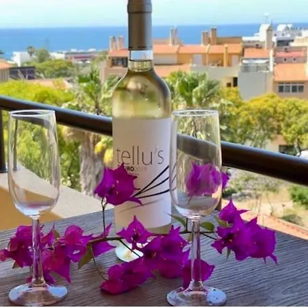 Duplex Buganvilias Vue