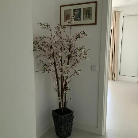 Duplex Buganvilias Vue *