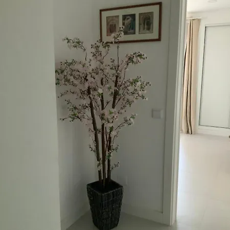 Duplex Buganvilias Vue *
